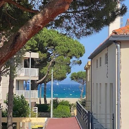 F3 Classe Meuble Tourisme "Gites De France" A 80 Metres De La Plage Argelès-sur-Mer Extérieur photo