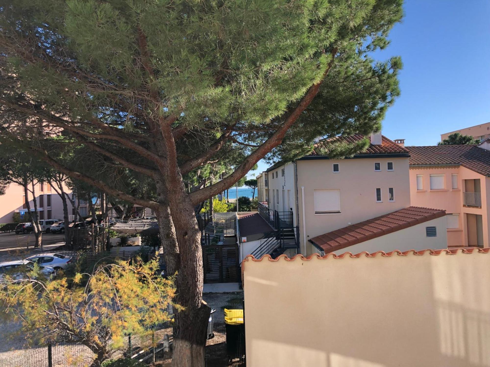 F3 Classe Meuble Tourisme "Gites De France" A 80 Metres De La Plage Argelès-sur-Mer Extérieur photo