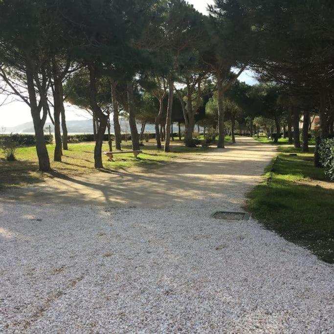 F3 Classe Meuble Tourisme "Gites De France" A 80 Metres De La Plage Argelès-sur-Mer Extérieur photo